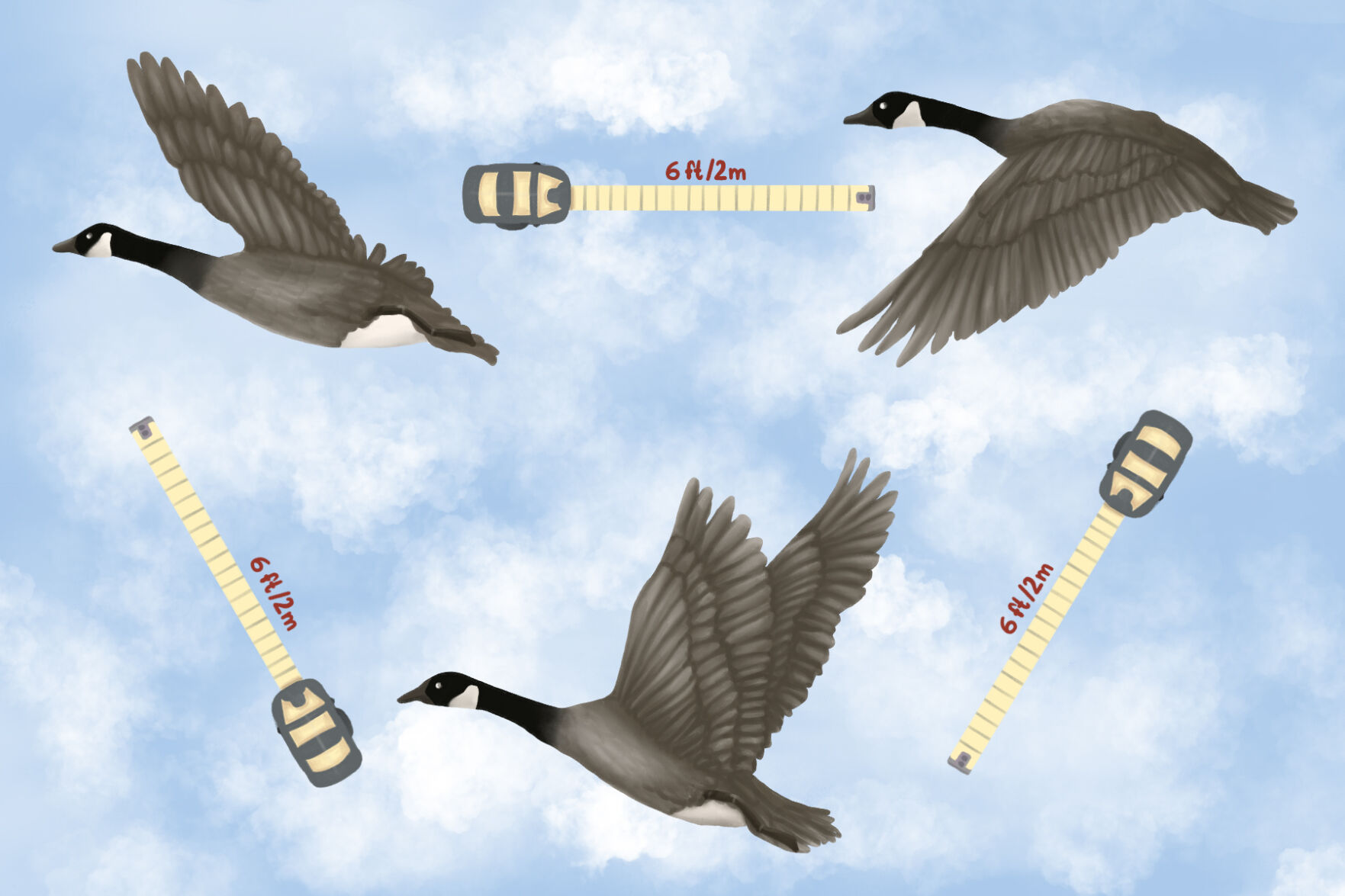 SPOOF: Geese flying 6 feet apart (graphic - jpg)